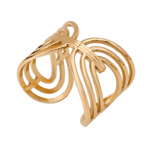 Anillo 01